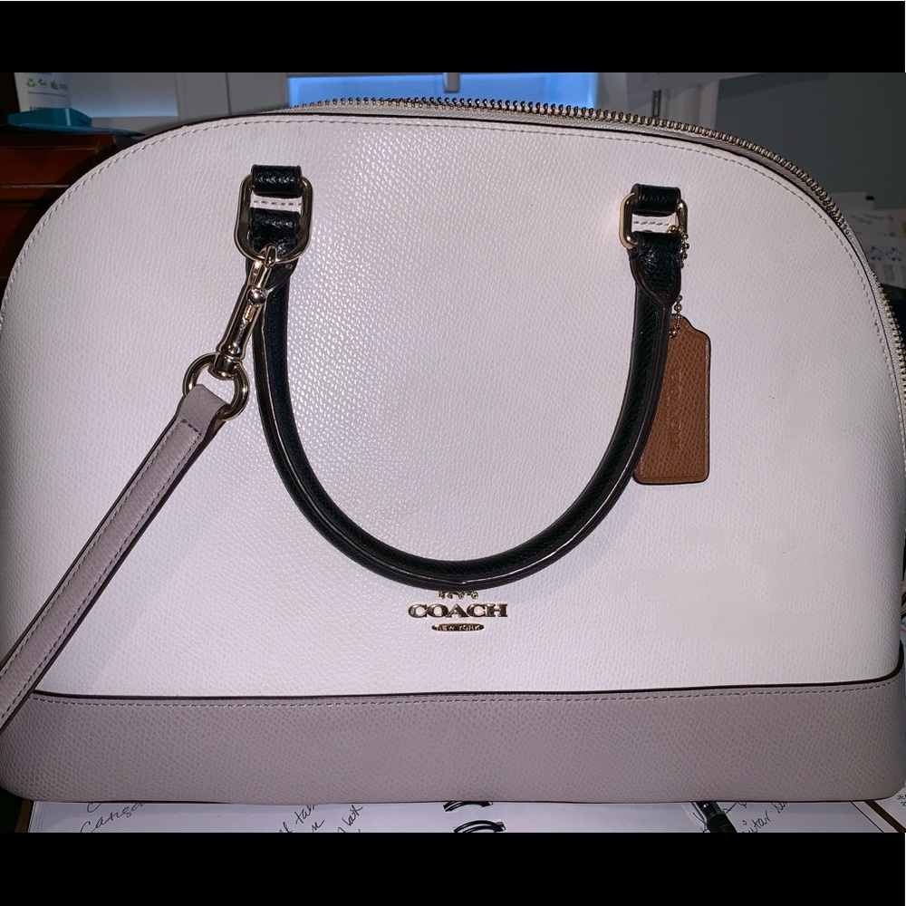 Coach mini carryall purse